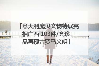意大利庞贝文物特展亮相广西 103件/套珍品再现古罗马文明