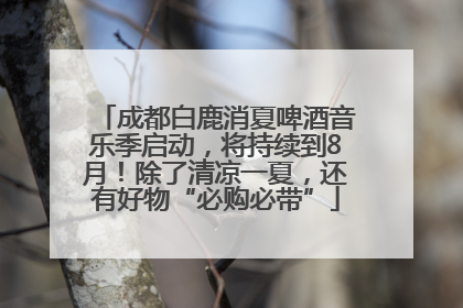 成都白鹿消夏啤酒音乐季启动，将持续到8月！除了清凉一夏，还有好物“必购必带”