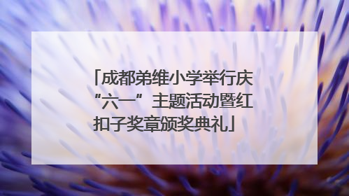 成都弟维小学举行庆“六一”主题活动暨红扣子奖章颁奖典礼