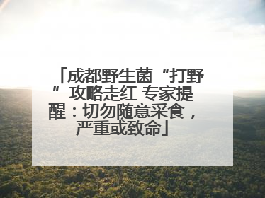 成都野生菌“打野”攻略走红 专家提醒：切勿随意采食，严重或致命