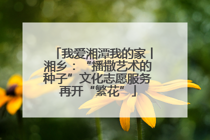 我爱湘潭我的家丨湘乡：“播撒艺术的种子”文化志愿服务再开“繁花”