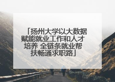扬州大学以大数据赋能就业工作和人才培养 全链条就业帮扶畅通求职路
