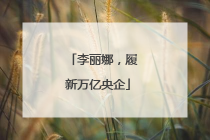 李丽娜，履新万亿央企