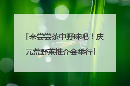 来尝尝茶中野味吧！庆元荒野茶推介会举行