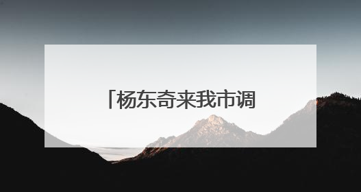 杨东奇来我市调研 杨国强陈必昌田和友分别参加