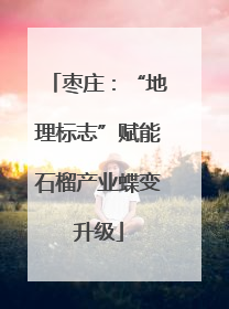枣庄：“地理标志”赋能石榴产业蝶变升级