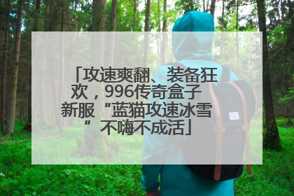 攻速爽翻、装备狂欢，996传奇盒子新服“蓝猫攻速冰雪”不嗨不成活