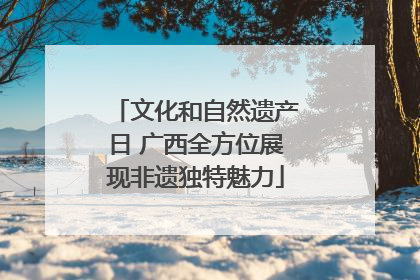 文化和自然遗产日 广西全方位展现非遗独特魅力