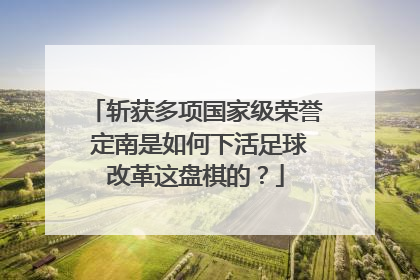 斩获多项国家级荣誉 定南是如何下活足球改革这盘棋的？