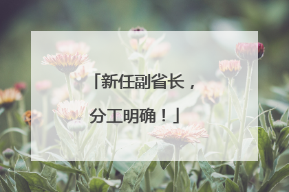 新任副省长，分工明确！