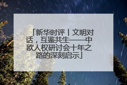 新华时评丨文明对话，互鉴共生——中欧人权研讨会十年之路的深刻启示