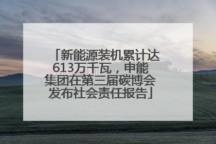新能源装机累计达613万千瓦，申能集团在第三届碳博会发布社会责任报告
