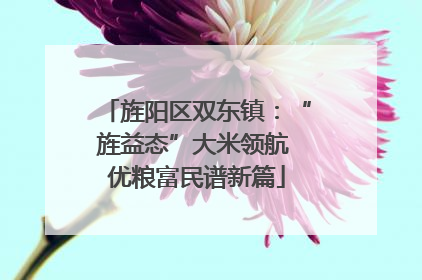 旌阳区双东镇：“旌益态”大米领航 优粮富民谱新篇