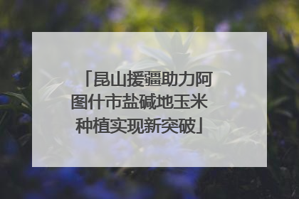 昆山援疆助力阿图什市盐碱地玉米种植实现新突破