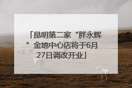昆明第二家“胖永辉”金地中心店将于6月27日调改开业