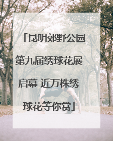 昆明郊野公园第九届绣球花展启幕 近万株绣球花等你赏