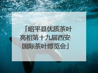 昭平县优质茶叶亮相第十九届西安国际茶叶博览会