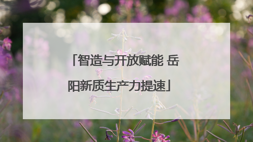 智造与开放赋能 岳阳新质生产力提速