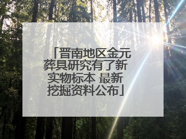 晋南地区金元葬具研究有了新实物标本 最新挖掘资料公布