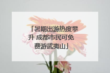 暑期出游热度攀升 成都市民可免费游武夷山