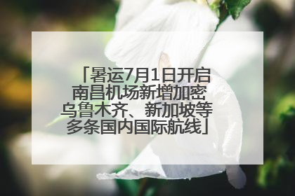 暑运7月1日开启 南昌机场新增加密乌鲁木齐、新加坡等多条国内国际航线