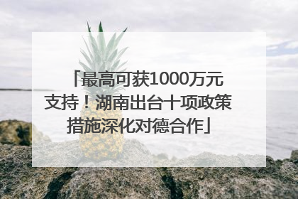 最高可获1000万元支持！湖南出台十项政策措施深化对德合作