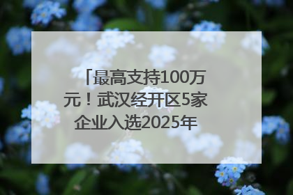 最高支持100万元！武汉经开区5家企业入选2025年度武汉市重点研发计划拟立项项目名单