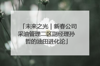 未来之光｜新春公司采油管理二区副经理孙哲的油田进化论