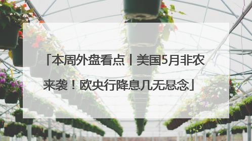 本周外盘看点丨美国5月非农来袭！欧央行降息几无悬念