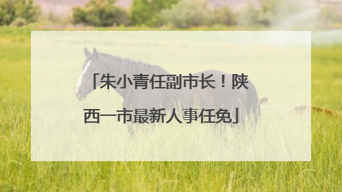 朱小青任副市长！陕西一市最新人事任免