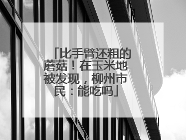比手臂还粗的蘑菇！在玉米地被发现，柳州市民：能吃吗