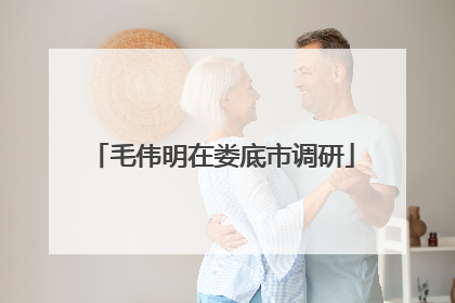 毛伟明在娄底市调研