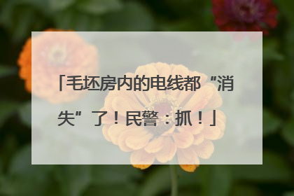 毛坯房内的电线都“消失”了！民警：抓！