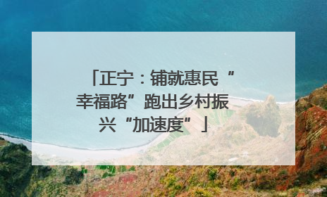 正宁：铺就惠民“幸福路”跑出乡村振兴“加速度”