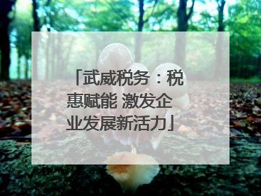 武威税务：税惠赋能 激发企业发展新活力