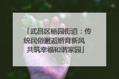 武昌区杨园街道：传统民俗邂逅婚育新风 共筑幸福和谐家园