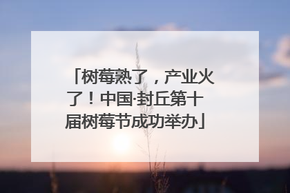 树莓熟了，产业火了！中国·封丘第十届树莓节成功举办