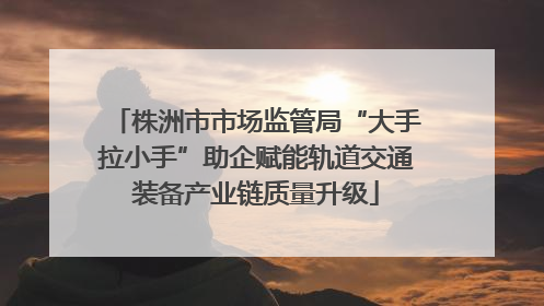 株洲市市场监管局“大手拉小手”助企赋能轨道交通装备产业链质量升级