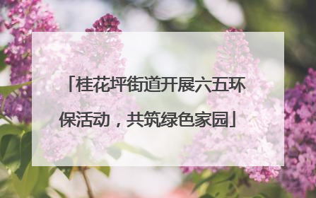 桂花坪街道开展六五环保活动，共筑绿色家园