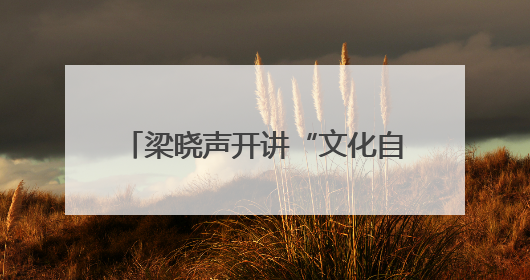 梁晓声开讲“文化自信”：婺源清华朴园里的一场文化盛宴