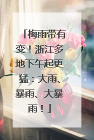 梅雨带有变！浙江多地下午起更猛：大雨、暴雨、大暴雨！