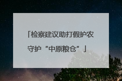 检察建议助打假护农守护“中原粮仓”