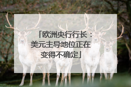 欧洲央行行长：美元主导地位正在变得不确定