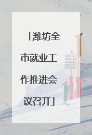 潍坊全市就业工作推进会议召开