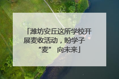潍坊安丘这所学校开展麦收活动，盼学子 “麦” 向未来