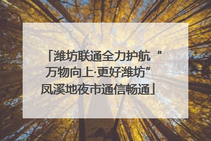 潍坊联通全力护航“万物向上·更好潍坊”凤溪地夜市通信畅通
