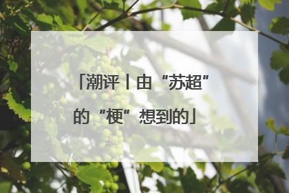 潮评丨由“苏超”的“梗”想到的