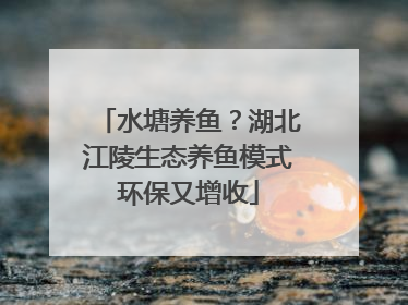水塘养鱼？湖北江陵生态养鱼模式环保又增收