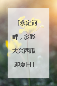 永定河畔，多彩大兴西瓜迎夏日