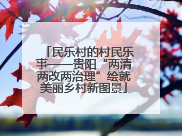 民乐村的村民乐事——贵阳“两清两改两治理”绘就美丽乡村新图景